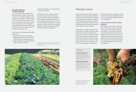 Sekrety ogrodu siostry Christy_s14-15